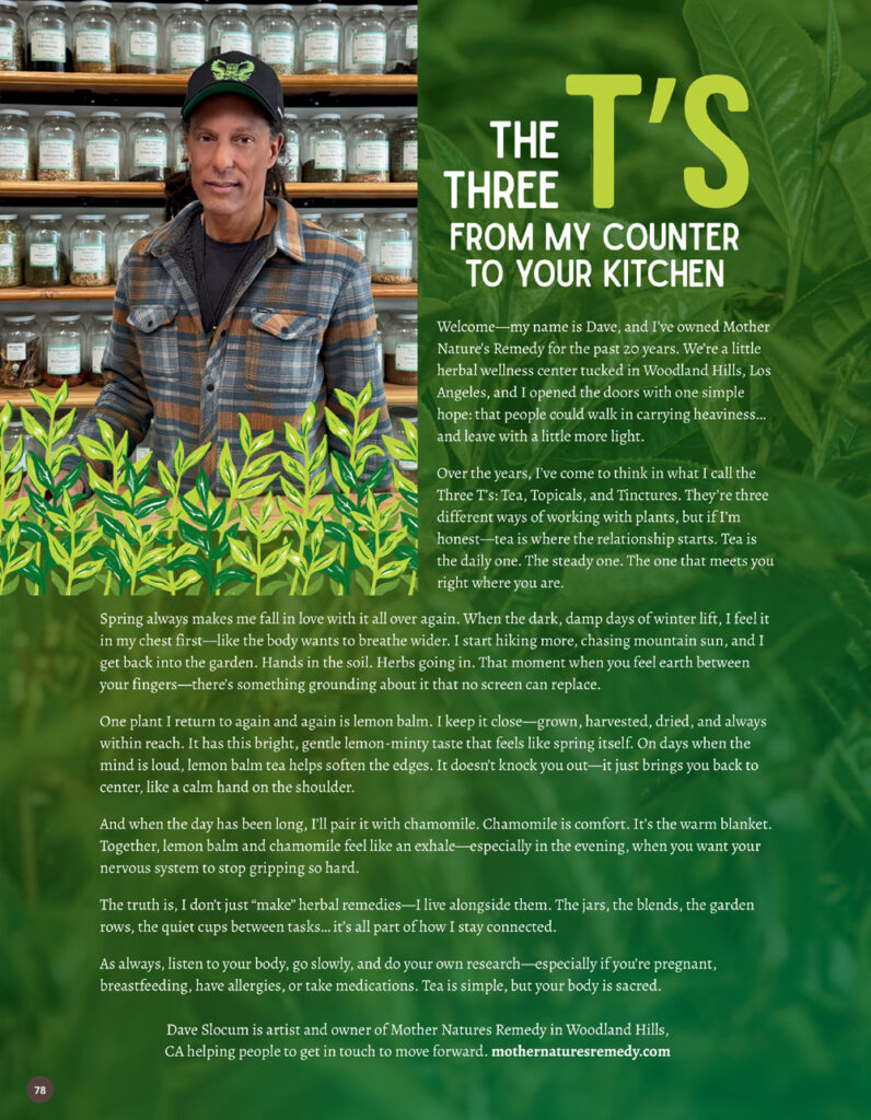 Chakra Cozy Issue 001 - The Three T's from my counter to your kitchen